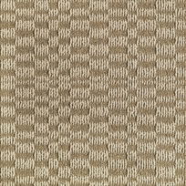 Checkered Past