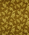 196952_f_medium_cropped