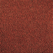 Two-Tone Shag