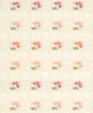 123651_d_medium_cropped