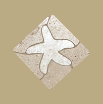 Beach Motif - Star Fish - 4x4"