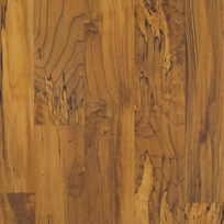 Honey Spalted Maple