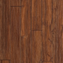 Tasmanian Blackwood Sienna
