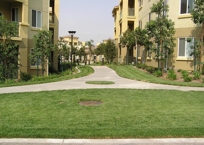 Grasscrete