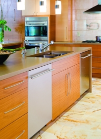 D5883XXLFIENC Encore Dishwasher