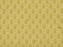 Wexford Kiwi Organic Cotton Fabric per yard