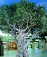 500a-desertpassagepop_medium_cropped