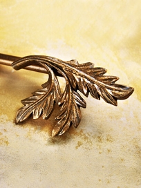 HWSAV ACANTHUS