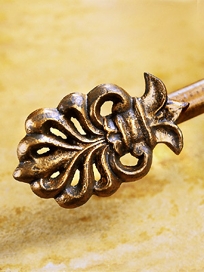 HWSAV CREST