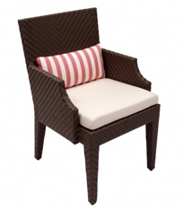 SRO Dining Arm Chair