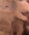 28_jpg1_medium_cropped