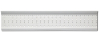 Classic Fluted Frieze
