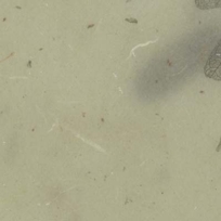 TA/LG Pale Green with Grean leaves - Melacore Translucent Laminates