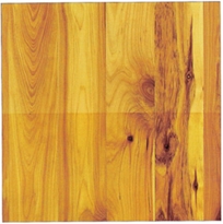 Cypress - Australian