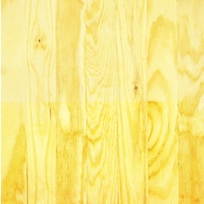 Pine - Southern Yellow