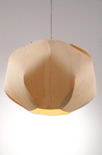Evolute Suspension Lamp