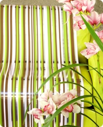 Ribbon Candy