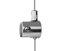 BSVL1