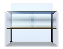 ILS-Integrated Levitation System