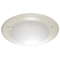 20 - Ceiling Mount Light Fixture (Part #: 4162212)