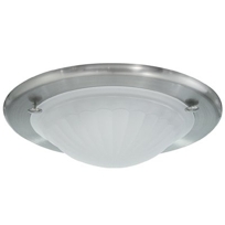 205 - Ceiling Mount Light Fixture (Part #: 4162369)
