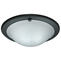 21 - Ceiling Mount Light Fixture (Part #: 4162492)