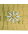El-031-89-e-ib_medium_cropped