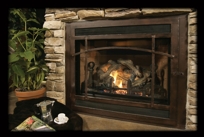 Selway Direct Vent Gas Fireplace