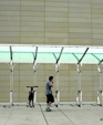 Bike_shelter_butterfly_copyright2_medium_cropped