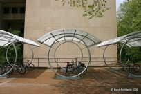 Oasis Model