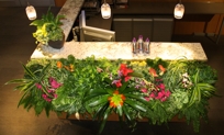 Breathe Living Wall