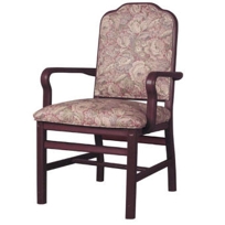 Albert Arm Chair 54324M