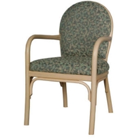 Coco Arm Chair HC113