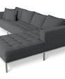 Carter_sectional_ink_medium_cropped