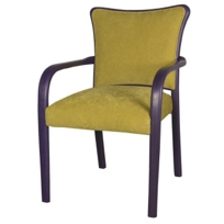 Nuance Arm Chair 32127