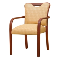Nuance Arm Chair 32169
