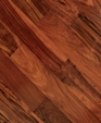 L1169074506477_medium_cropped