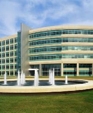 4_jpg1_medium_cropped