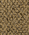 Streetsmart_v_medium_cropped