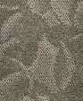 Trapeze_tpz01_l_medium_cropped