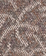 Visions_76701_l_medium_cropped