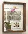 Thinkfabricate_wallnuts_mirror_mr_medium_cropped