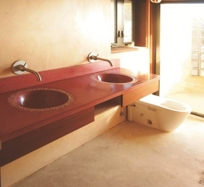 Wall Hung Dual Basin Sink