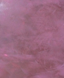 Stuccograssello1_medium_cropped