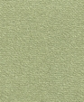 Arroyo_willow_medium_cropped