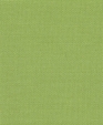 Outdoorcanvasparrot_medium_cropped