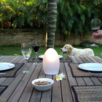 Neoz - Egg Cordless Table Lamp - Rechargeable
