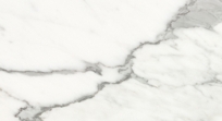 Statuario 12x24