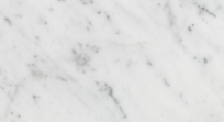 Carrara Bianco 12x24