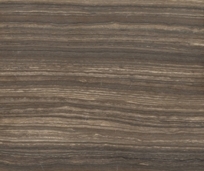 Eramosa Limestone 12x24